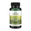 Mäta klasnatá – Spearmint Swanson, 400 mg (60 kapsúl)