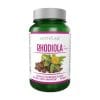 Rozchodnica ružová – Rhodiola Activlab (60 kapsúl)